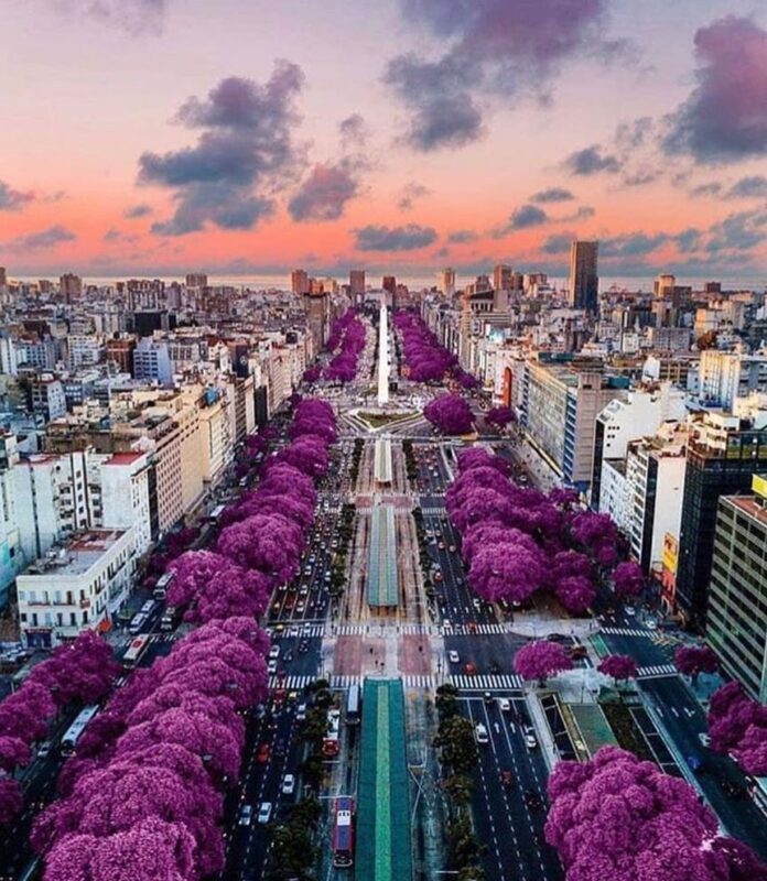Los mejores lugares para conocer en Argentina en primavera